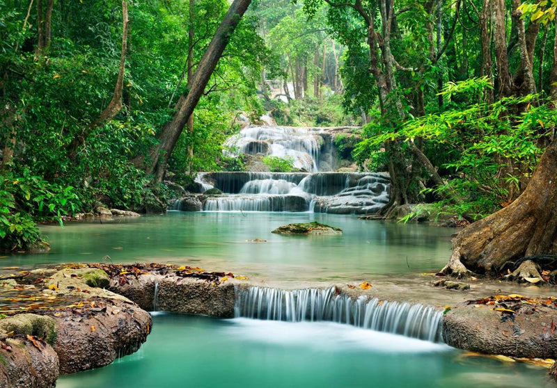 Green Jungle Waterfall Nature Scenic Wall Wallpaper