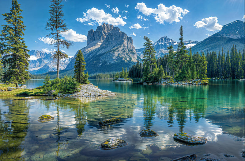 Mountain Lake Forest Nature Landscape Wallpaper Mural | Custom Size