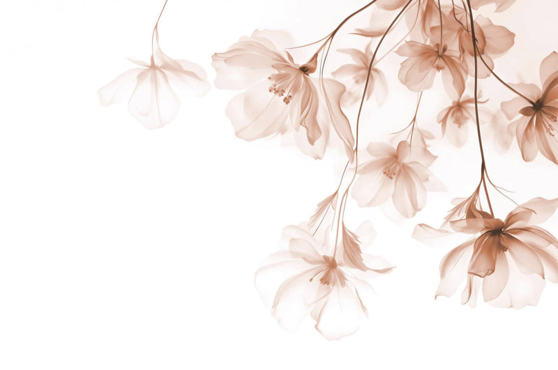 Sheer Beige Floral wallpaper