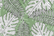 Papier Peint Jungle Vert Et Blanc